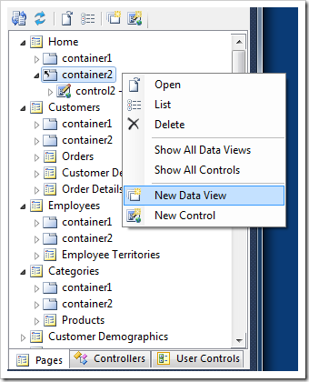 'New Data View' option in the context menu of a container in Project Explorer