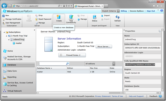Server Information Screen in Windows Azure Platform