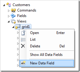 New Data Field in Customers controller.