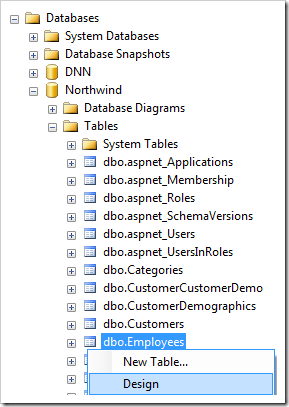 Design option for Employees table of Northwind database.