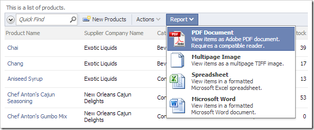 Default reporting actions in a web application created with Code On Time.