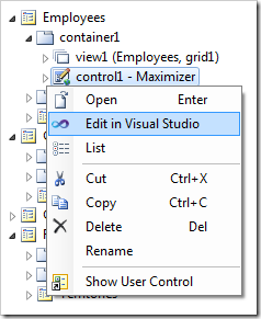 Editing the control in Visual Studio.