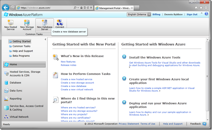 New Database Server button in Windows Azure Platform