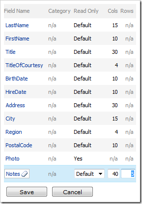 Data Fields with optimized sizes in Code On Time Designer