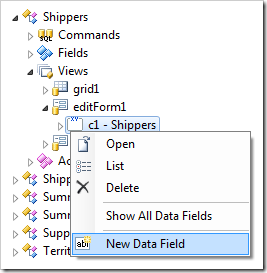 New Data Field in 'editForm1'