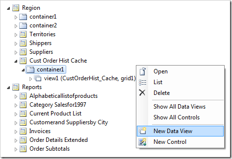 Adding a new data view to a page container of a Code On Time web appliction