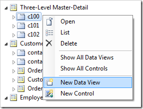'New Data View' option for 'c100' container in the Project Explorer.