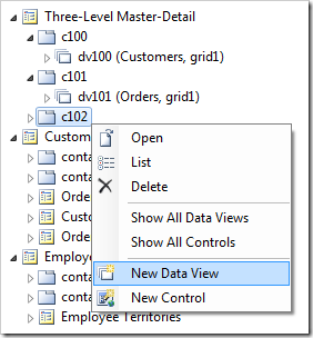 'New Data View' option for 'c102' container in the Project Explorer.