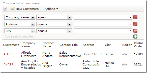 Advanced search bar of Customers grid displaying required and suggested fields.