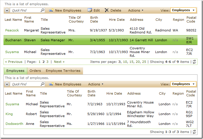 Employees page with Employees master and child data views.