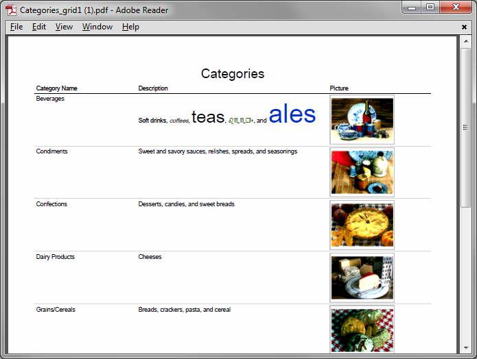 Description field value rich text styling preserved in a PDF report.