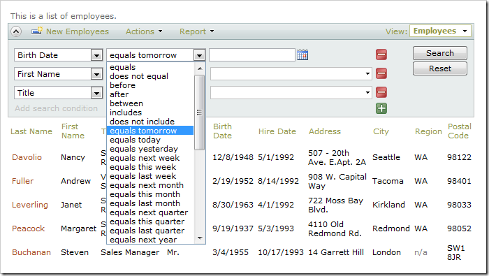 Employees grid view with advanced search bar. Birth Date search options are visible.