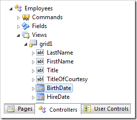 Birthdate data field of grid1 view in the Employees controller.