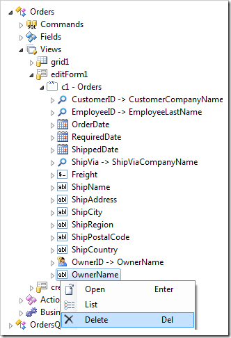 Delete OwnerName data field of editForm1 view in Orders controller.