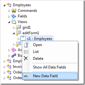 Add New Data Fields in editForm1 view of Employees controller.
