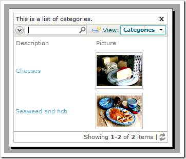 CategoryID field displaying two options.