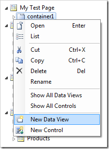 New Data View context menu option on the container.