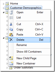Delete option for Customer Demographics page node.