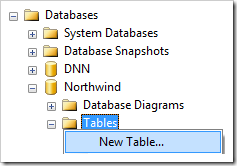 Create New Table in Northwind database using SQL Server Management Studio.
