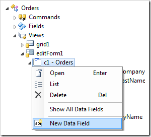 New Data Field in editForm1 view.