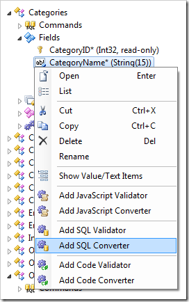 Validator and Converter menu options available for fields in the Project Explorer.