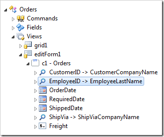 Relevant data field node selected in the Project Explorer.