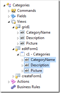 Data fields selected under c1 category of editForm1 view in the Categories controller in the Project Explorer for web applications.