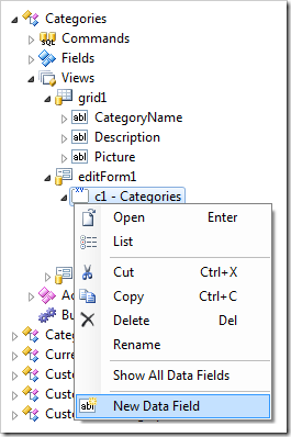 New Data Field context menu option for a category in a form view.