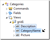 Data field Description dropped on the right side of CategoryName data field.