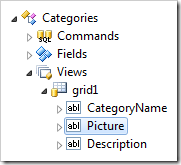 Picture data field has been placed before Description data field.