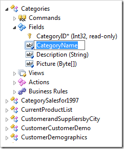 CategoryName field in Rename mode in the Project Explorer.