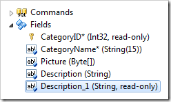 Description field duplicated as 'Description_1' in the Categories controller.
