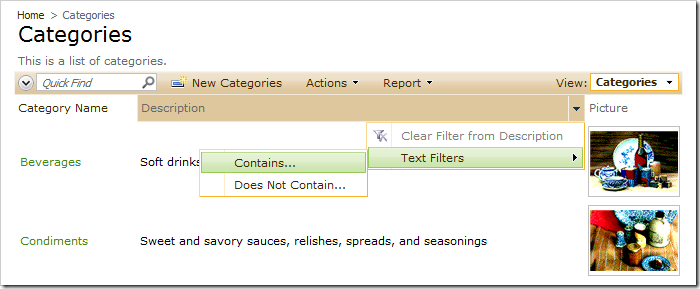 Description column header filtering options only display 'contains' and 'does not contain'.