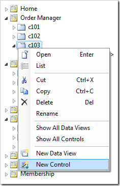 New Control context menu option on 'c103' container node in the Order Manager page.