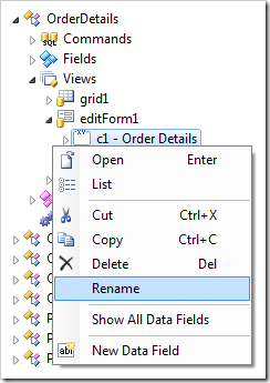Rename context menu option for a category in the Project Explorer.