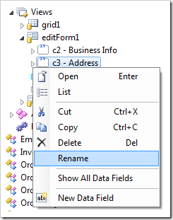 Rename context menu option for a category node in the Project Explorer.