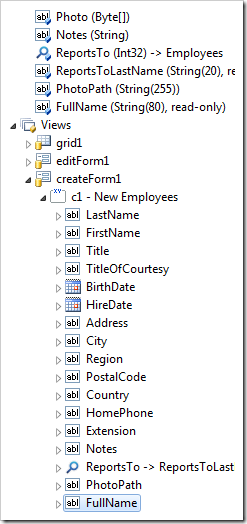 FullName data field has been created in 'createForm1' view.