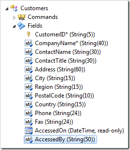 AccessedBy field under the Customers controller in the Project Explorer.