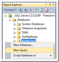 Creating a new query for Northwind database.