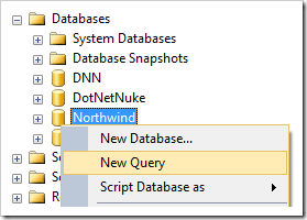 Creating a new query for Northwind database.