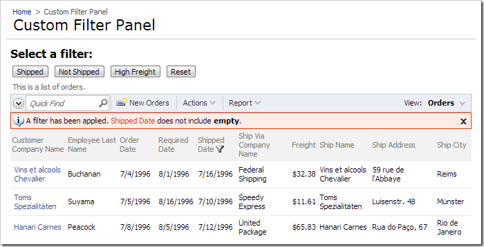The data view on 'Custom Filter Panel' page will be filtered when the page loads.