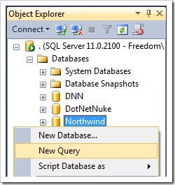 Creating a new query for Northwind database.