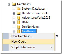 Creating a new query for Northwind database.