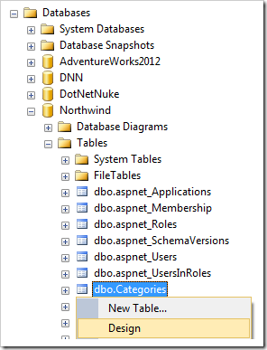 Designing the Categories table in Northwind database.