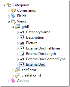 Data field instantiated in 'grid1' view.