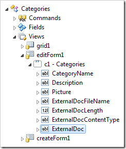 Data field instantiated in 'editForm1' view.