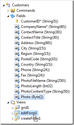 Dropping the 'Photo' field node onto view 'editForm1'.