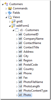 Photo data field instantiated in view editForm1.