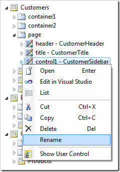Renaming 'control'1 control on the Customers page.