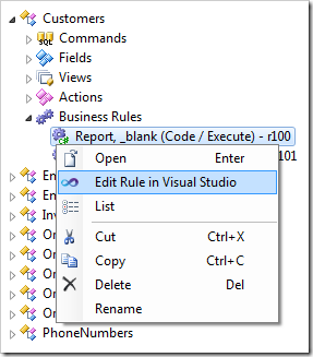 Opening the business rule file in Visual Studio.